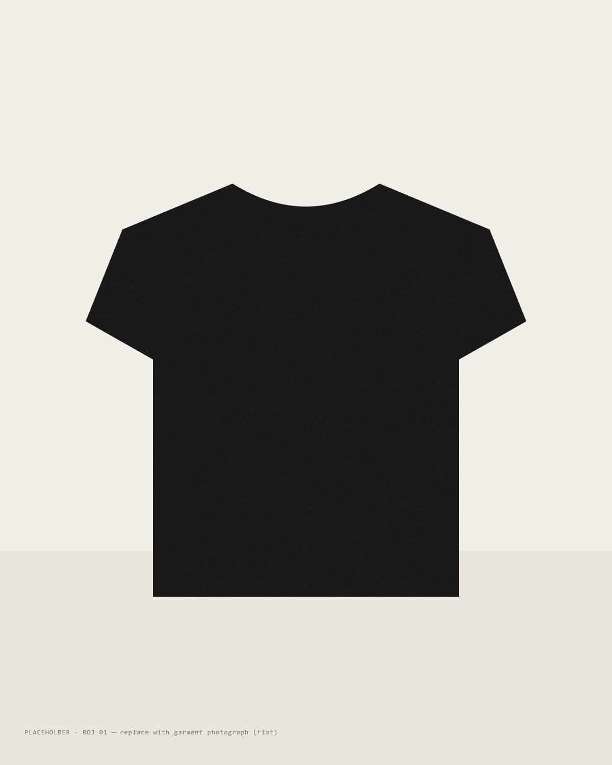 ROJ 01 heavyweight t-shirt, flat