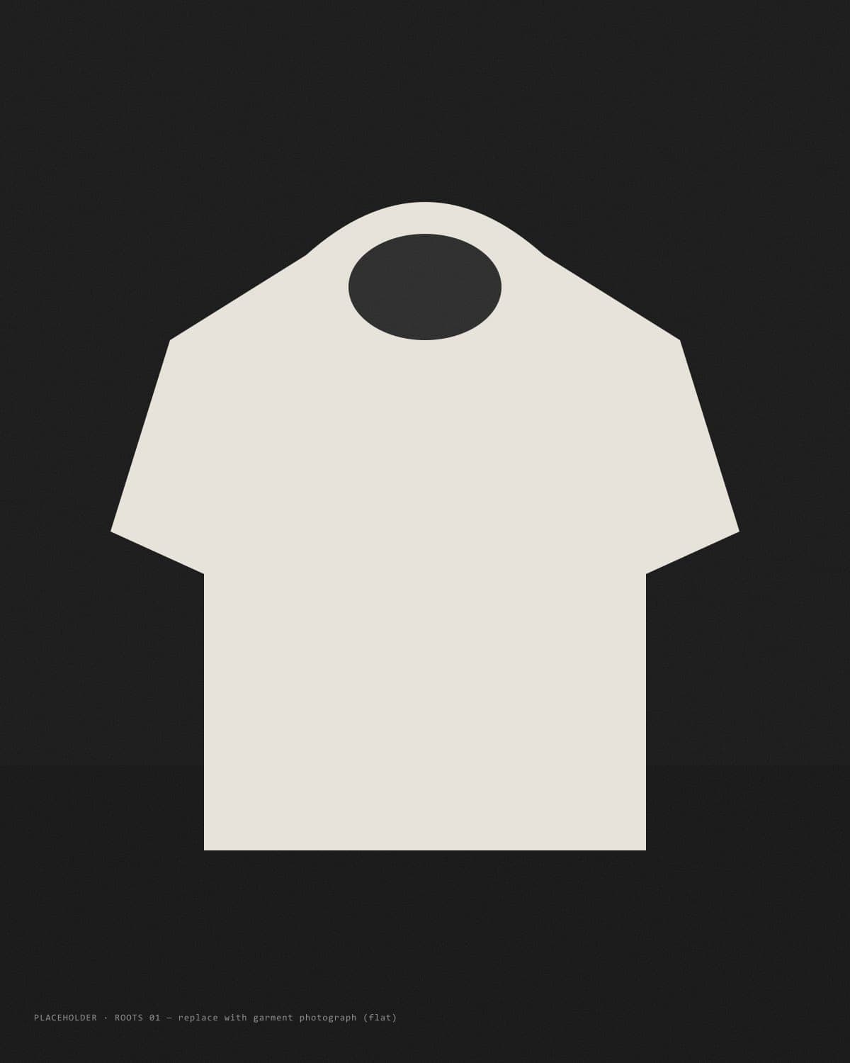 ROOTS 01 heavyweight hoodie, flat